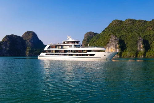 Stellar Of The Sea Cruise